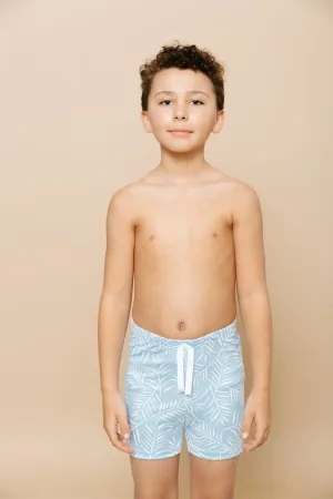 Boardies 1-2T