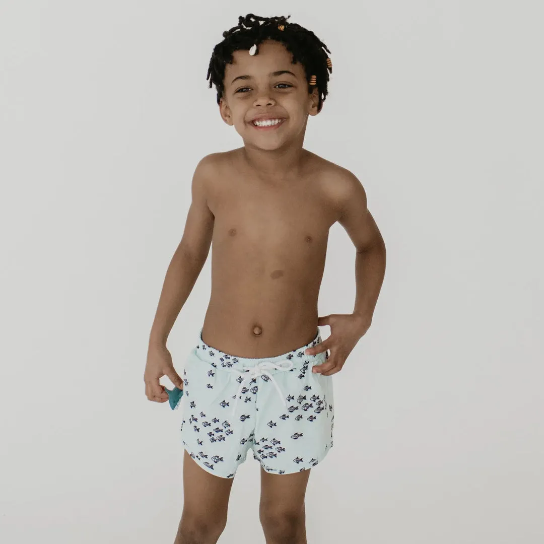 Boardies
