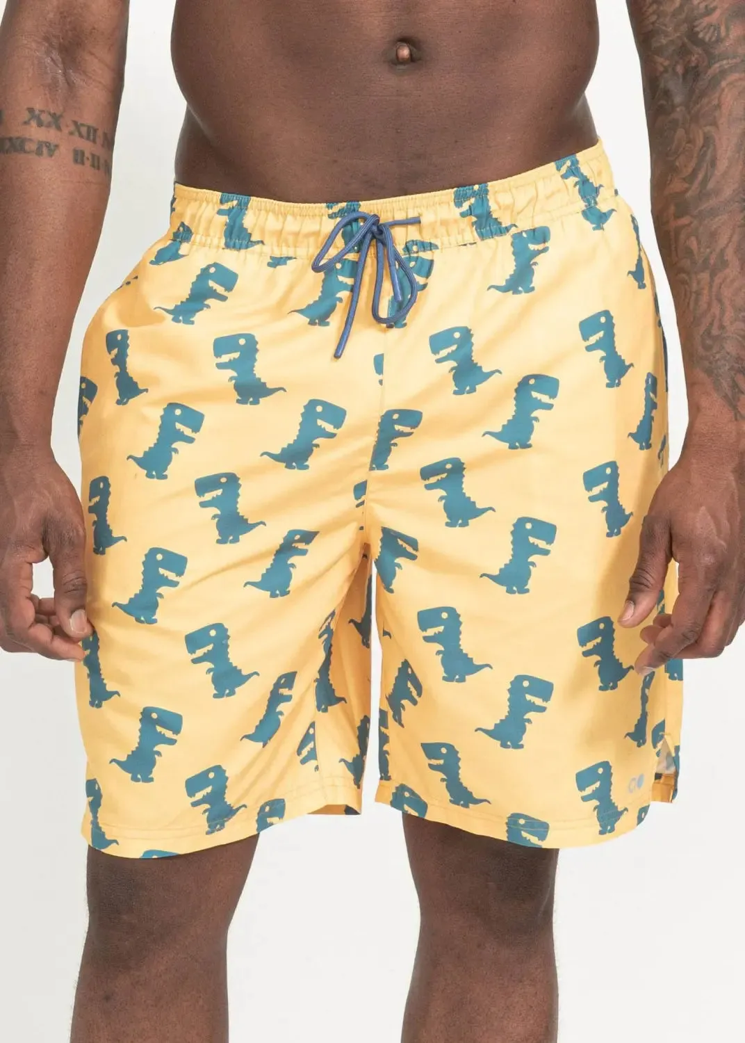 Faro Boardshorts - Dino Print