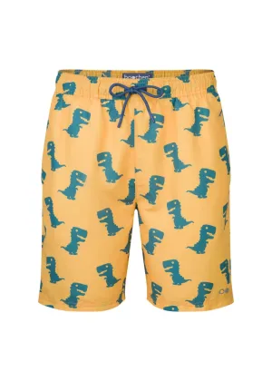Faro Boardshorts - Dino Print
