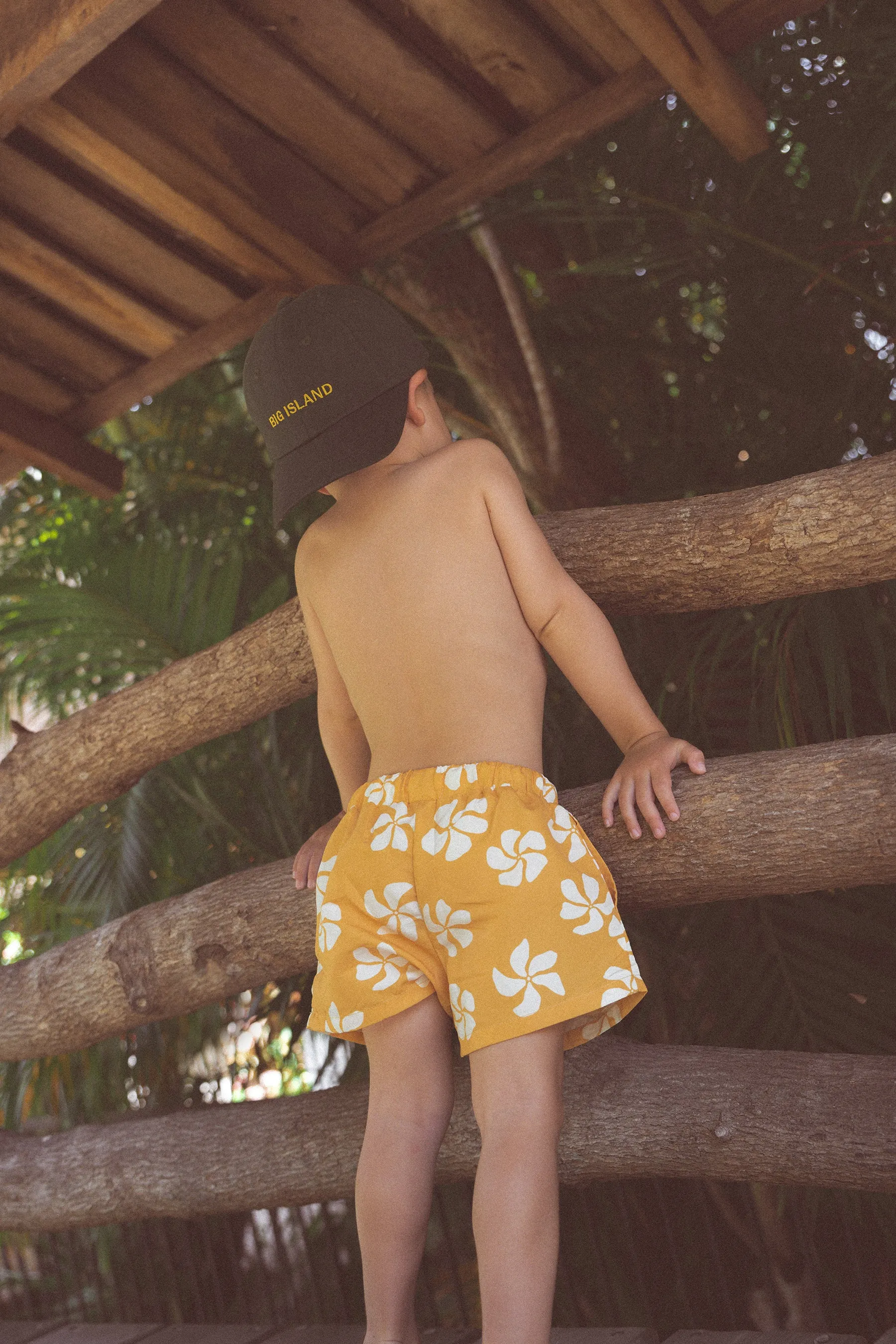 Honolulu Board Shorts - Mustard