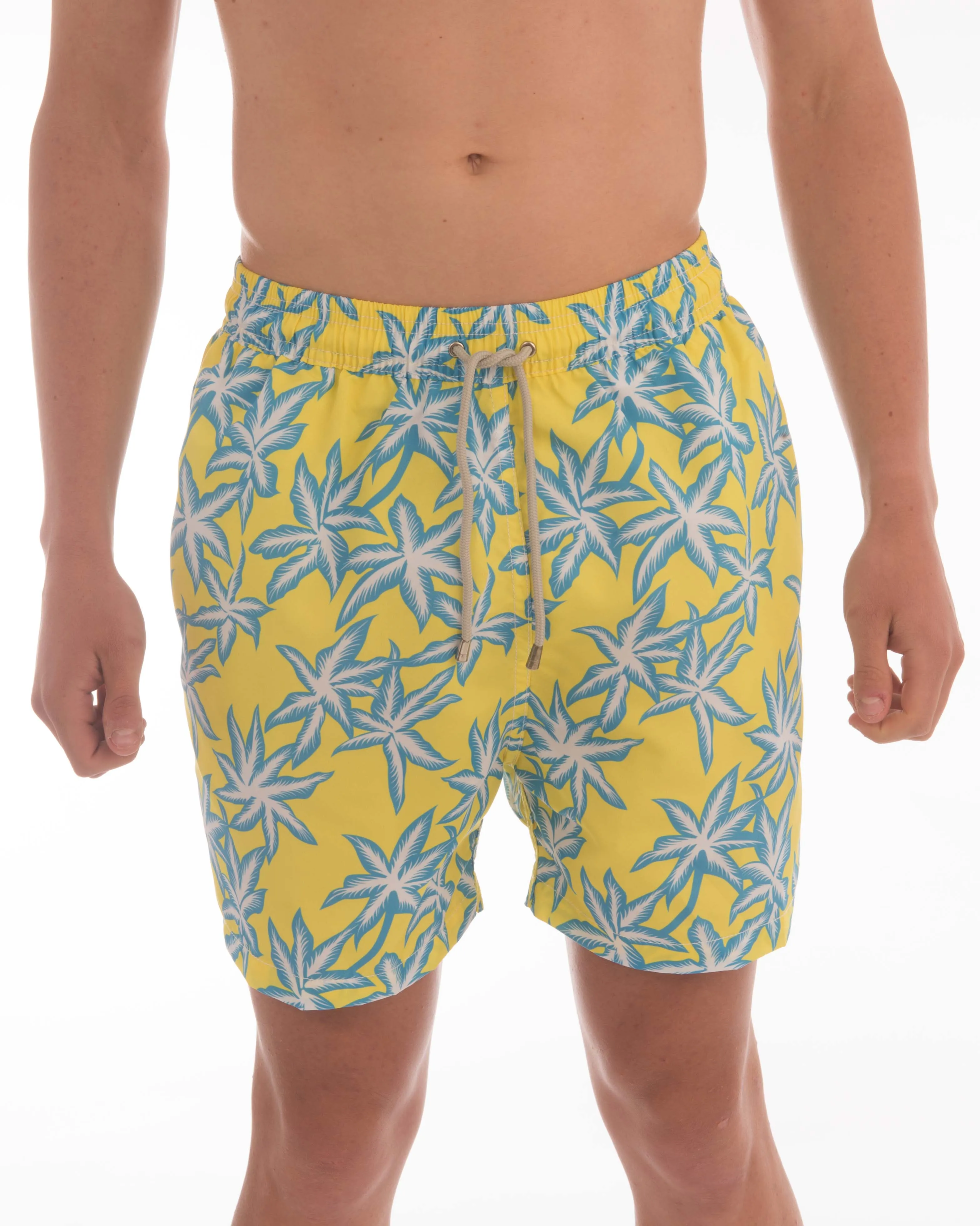 Leaf Board Shorts