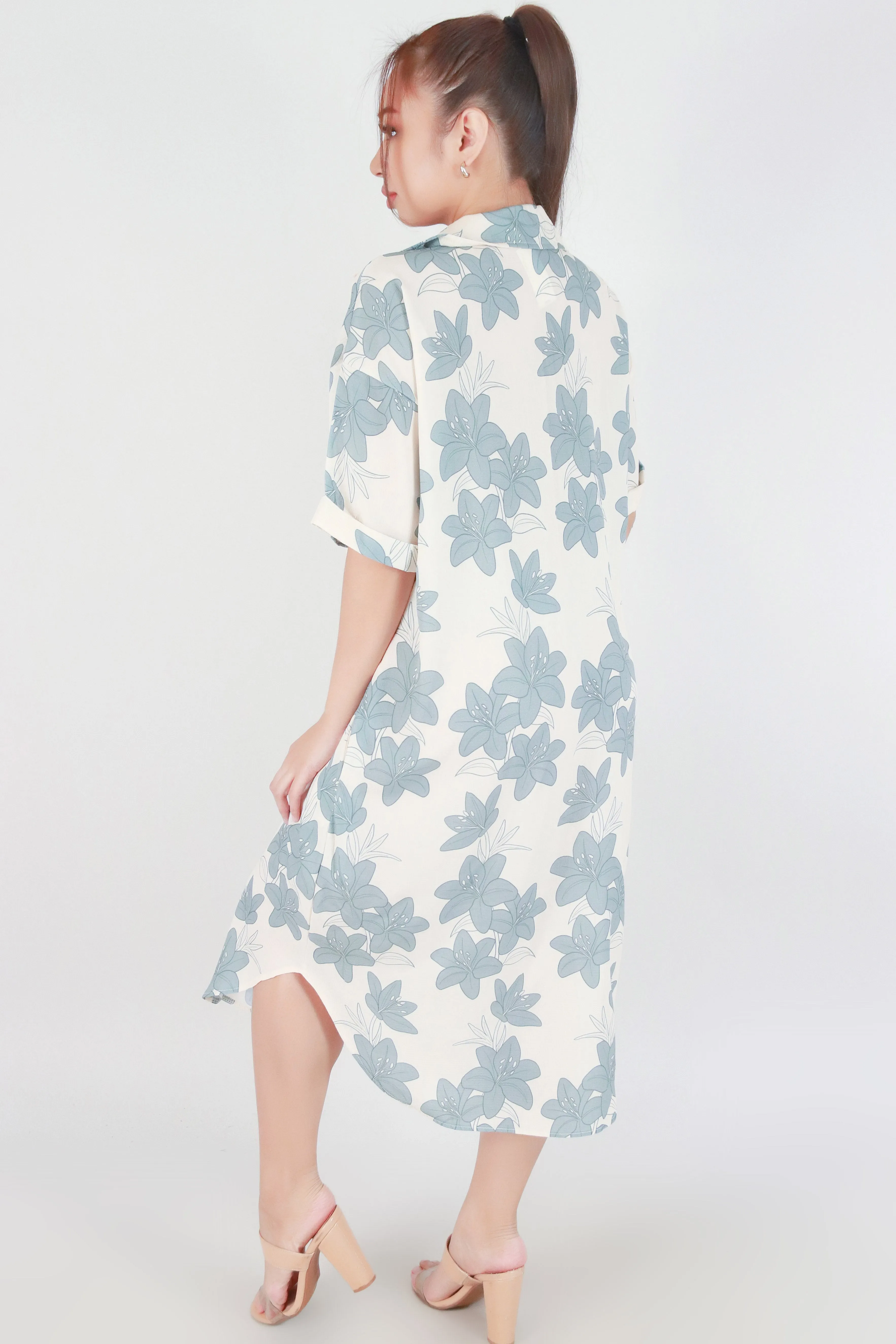 LILY BUTTON DOWN DRESS