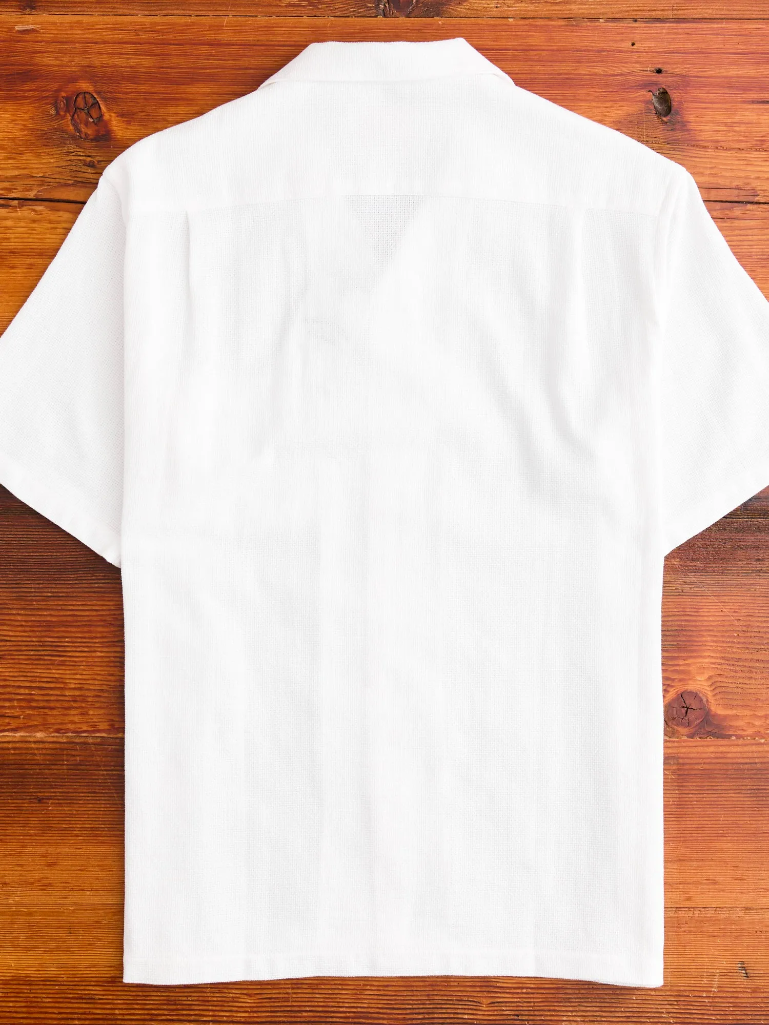 Pique Button-Up Shirt in White