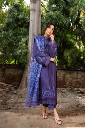 SOBIA NAZIR | FALL EDIT '24 | 4B