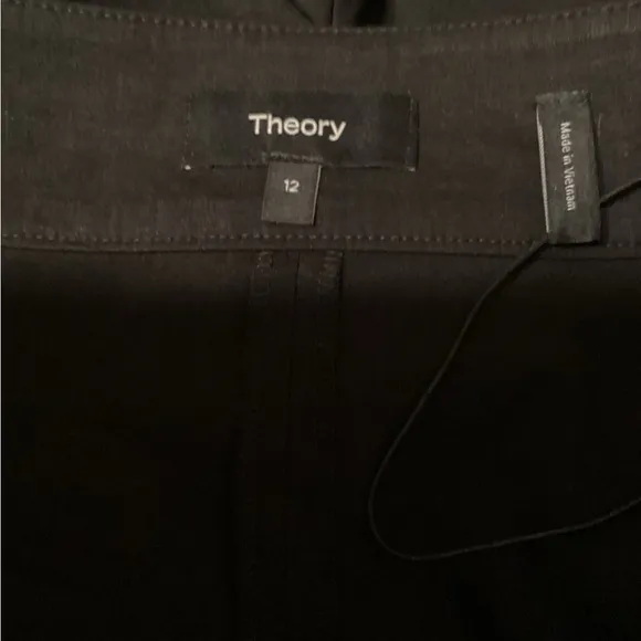 Theory Size 12 Clean Mini Shorts
