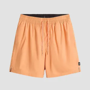 Vans Primary Solid Elastic 17" Boardshorts Copper Tan